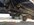 IMG_5337.JPG IMG_5337.JPG