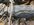 IMG_5600.JPG IMG_5600.JPG