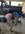 1309938015_Original.jpeg