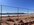 IMG_5523.jpeg