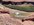 IMG_5537.jpeg