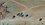 IMG_5549.jpeg