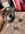 IMG_6955.jpeg