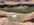 IMG_3321.jpeg