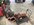 IMG_3561.jpeg