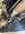 IMG_4062.jpeg