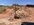 IMG_5568.jpeg