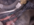 1694305756533.png