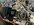 IMG_4064.jpeg