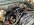 IMG_4068.jpeg