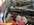 IMG_4069.jpeg