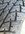 IMG_0794.jpeg