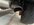 IMG_5668.jpeg
