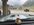 IMG_5667.jpeg