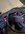 IMG_0804.jpeg