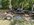IMG_3582.jpeg