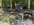 IMG_3581.jpeg