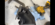 ACB0FC27-518B-47B8-9D57-7C6F5511EB64.png