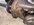 CFC92F80-BE87-4595-A046-B58555F35DF7.jpeg