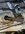 IMG_0816.jpeg