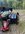 IMG_3598.jpeg