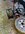 71642183809__64BF5900-523C-4F58-A7B9-3E4A7496533D.jpeg