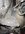 IMG_7075.jpeg