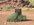 IMG_5562.jpeg