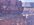 IMG_5572.jpeg