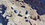 IMG_5575.jpeg