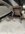 IMG_2952.jpeg