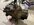 IMG_5372.jpeg