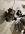 IMG_5371.jpeg