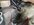 IMG_3936.jpeg