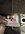 IMG_9982.jpeg