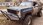 IMG_1218.jpeg