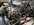 IMG_0738.JPEG