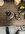 IMG_0872.jpeg