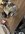 IMG_0873.jpeg