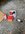 IMG_8029.jpeg