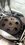 IMG_3593.jpeg
