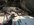 IMG_2399.jpeg
