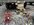 IMG_8323.jpeg