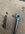 IMG_8334.jpeg