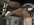 IMG_8360.jpeg