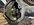 IMG_8370.jpeg