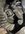 IMG_8363.jpeg