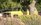 IMG_9642.jpeg