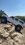 IMG_3620.jpeg