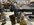 IMG_5642.jpeg